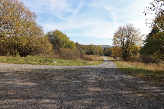 Es geht los: Am 26. Oktober beginnen die Sondierungsarbeiten auf der DBU-Naturerbeflche Stegskopf. Das DBU Naturerbe mchte eine ber neun Kilometer lange Route fr Besucher ffnen. (Foto: Kerstin Heemann/DBU)