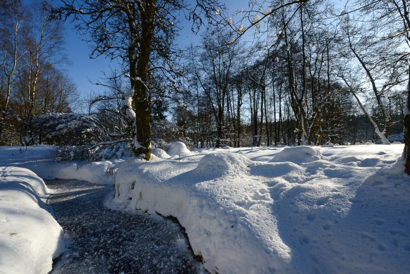 Stegskopf soll Naturschutzgebiet werden