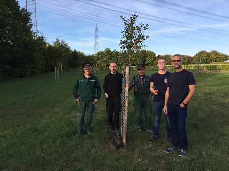 Obstbume auf Prachter Streuobstwiese tragen Frchte