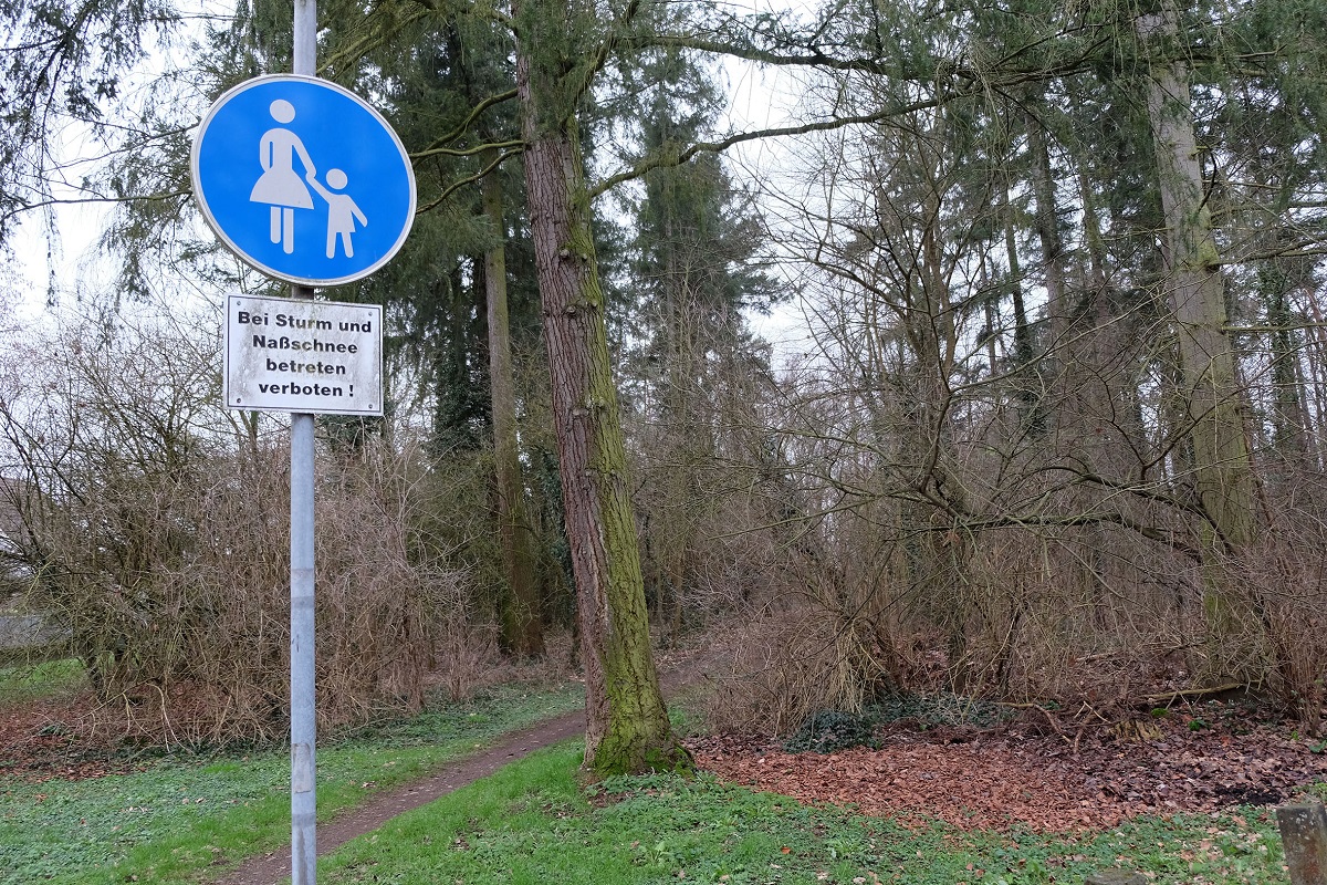 Wegen drohender Umsturzgefahr ist ein Teil des Stadtwaldes auf dem Heddesdorfer Berg zeitweise gesperrt. (Foto: Nadine Schneberg)