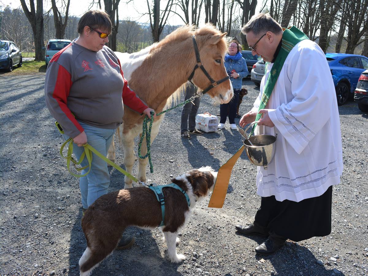 Pfarrer Michael Weber segnete im Anschluss an den Gottesdienst die Tiere. (Foto: Wolfgang Rabsch)