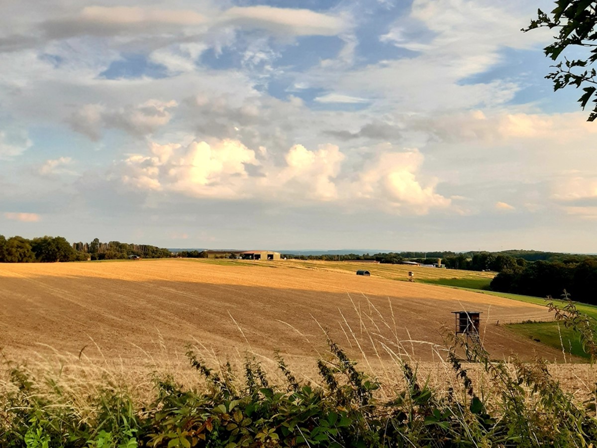 Rund um Hhr-Grenzhausen gibt es schne Ausblicke zu entdecken. (Foto: Typisch Westerwald)