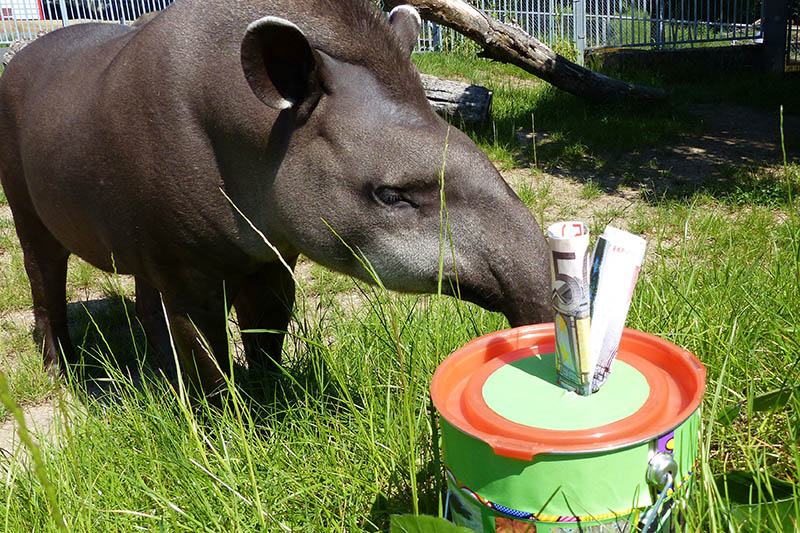 Ein tierisches Dankeschn sagt der Zoo Neuwied