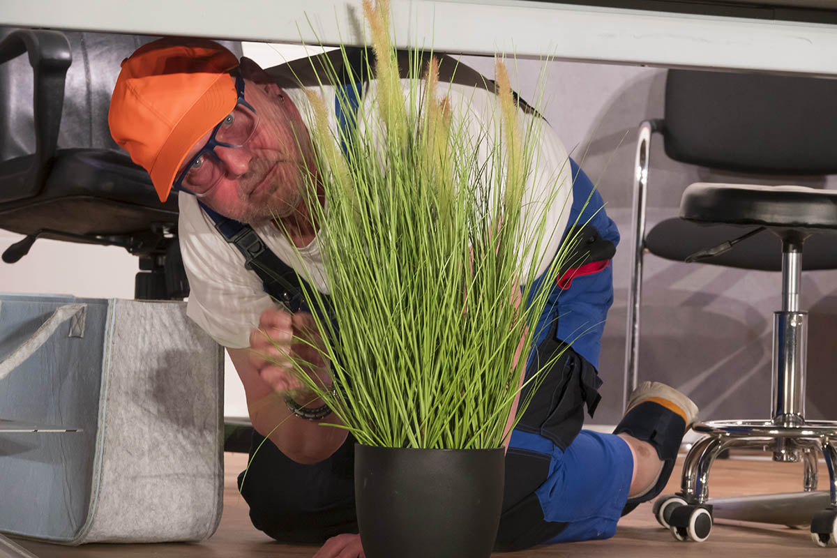 Fotos: Wolfgang Tischler