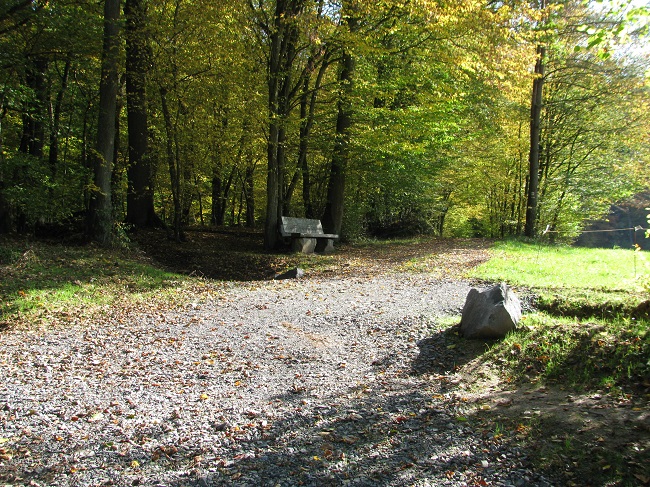 Der Sagenweg bei Mehren gehrt zu den acht neuen Themenrundwanderwegen. (Foto: Kreisverwaltung Altenkirchen) 