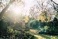 Neuwieds Geschichte erleben: F�hrungen auf dem Alten Friedhof und am Deich