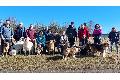Gemeinsame Erlebnisse in der Natur: Wandern mit Hund im Westerwald