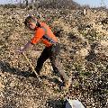10.000 junge Bäume in der Gemeinde Alpenrod gepflanzt
