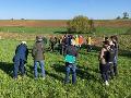 38 Vogelarten in drei Stunden: Erfolgreiche ornithologische Wanderung mit dem ANUAL e.V.