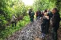 Kruterwanderung im Pfaffenbachtal: Naturschtze am Wegesrand