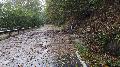 Unwetterfront sorgt f�r zahlreiche Feuerwehreins�tze in Rengsdorf-Waldbreitbach