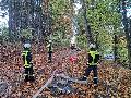 Übung der Freiwilligen Feuerwehren rund um Montabaur - Ernstfälle erprobt