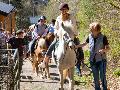 Ukrainisches Osterfest auf dem Pferdehof Grsbachtal in Selbach