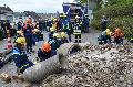 Junge Sicherheitskrfte zeigen ihr Knnen beim Maimarkt in Heiligenroth 