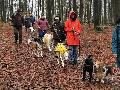 Erste Hundewanderung des Westerwaldvereins Bad Marienberg ein Erfolg