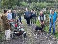 Waldbegang in Montabaur zeigt Folgen des Tornados und Chancen f�r nat�rliche Regeneration