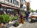 Pflanzen-Tauschb�rse in Altenkirchen: Vielfalt f�r den Garten