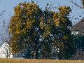 NABU Hundsangen: Blick in die Natur
