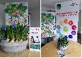 "Pflanz eine Blume"-Tag beim Kinderschutzdienst Altenkirchen: Wachsen braucht guten Boden