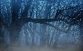 Neues Buch interpretiert alte Westerwald-Sagen neu