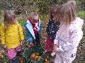 Kleine Entdecker erleben Apfeltag bei Familie Schmidt