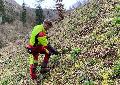5000 neue Bume im Anhausener Wald gepflanzt