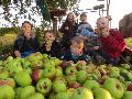 Des Wllers liebstes Obst - zur Geschichte des Apfels im Westerwald