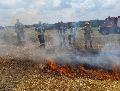 Feuerwehren Rengsdorf-Waldbreitbach: Was tun bei Vegatations- und Waldbrnden?