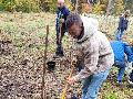 Pflanzaktion im Brgerwald Bendorf: Gemeinsam Zukunft pflanzen