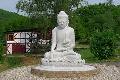 Klostergesprche im buddhistischen Kloster Hassel