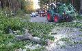Dicke Buche blockierte die B 256 im Berufsverkehr