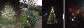 Schöne Weihnachtsbäume: Etzbach leuchtet