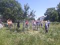 Sommerlicher Obstbaumschnitt: Praxisnaher Kurs in Hinterplag