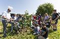"Tag des Baumes" mit Kindern in Bad Hnningen nachgefeiert