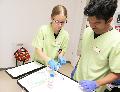 Praktische Ausbildung: Pflegesch�ler leiten eigenst�ndig Station in Asbach