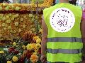 Wagenengel gesucht: Blumenkorso Erpel bentigt 60 Wagenengel