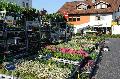 41. Blumenmarkt in Horhausen: Die Interessenten stberten bereits vor der Erffnung 