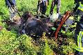 Im Morastloch steckengeblieben: Feuerwehr Bonefeld befreit eingesunkenes Pferd