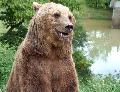 Wild-Freizeitpark-Westerwald in Gackenbach ffnet - mit Corona-Vorkehrungen