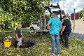 Giershofen putzte sich heraus
