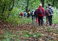 Westerwaldverein Buchfinkenland ldt ein: Wanderung auf dem Waldschluchtenweg