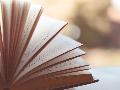 Frauenschicksale und Gesellschaftskritik: Spannender Gesprchsabend in Holler
