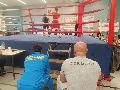 Internationale Boxpremiere in Koblenz: Deutsches Eck Pokal begeistert