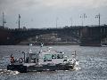 Meerjungfrau im Rhein: Wasserschutzpolizei schreitet ein