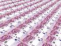 Land Rheinland-Pfalz untersttzt Kreis Altenkirchen mit 366.000 Euro