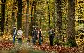 Fhrung durch den FriedWald Wildenburger Land