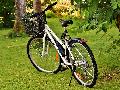 Grne drngen auf schnelle Umsetzung des Radverkehrskonzepts im Westerwaldkreis