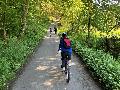 Abenteuerliche Sommerfreizeiten fr Jugendliche im Westerwald