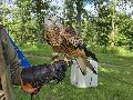 Gro�es Jubil�umsfest der Naturfreunde Thalhausen zieht zahlreiche Besucher an