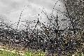 Waldbrandgefahr in Rheinland-Pfalz: Vorsicht und Regeln beachten